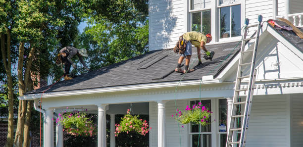 Best Gutter Installation and Roofing  in Williamsburg, FL